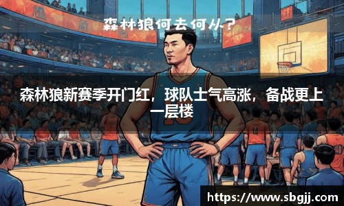 NG体育平台