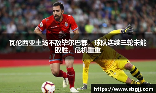 NG体育官网