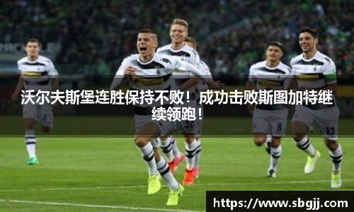NG体育官网