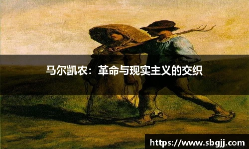 NG体育平台