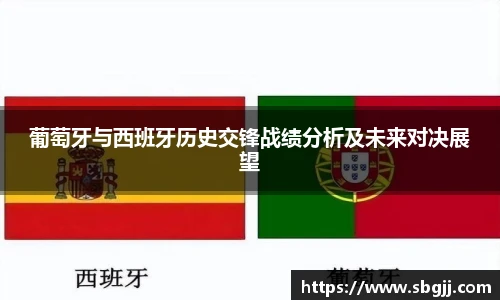 NG体育平台