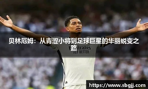 NG体育官网